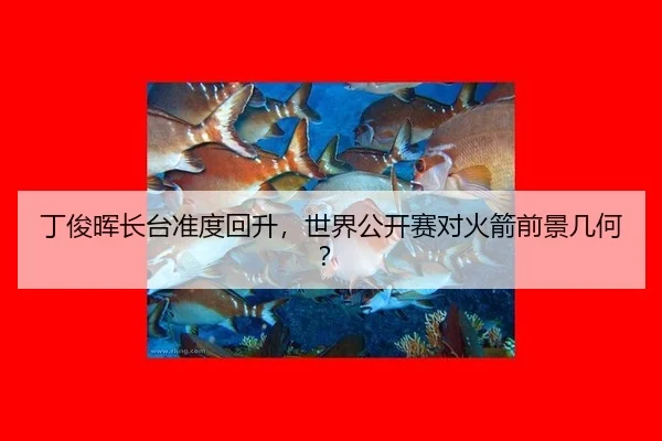 ding-jun-hui-zhang-tai-zhun-du-hui-sheng-shi-jie-gong-kai-sai-dui-huo-jian-qian-jing-ji-he-2-871.jpg