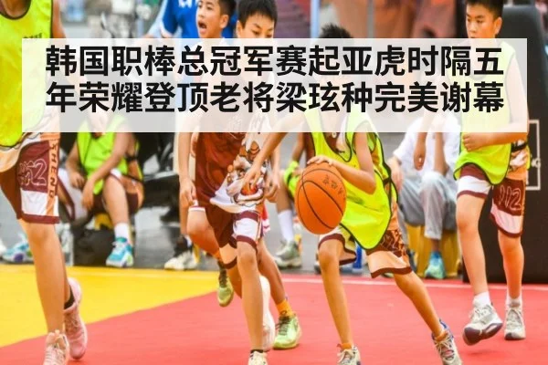 韩国职棒总冠军赛起亚虎时隔五年荣耀登顶老将梁玹种完美谢幕